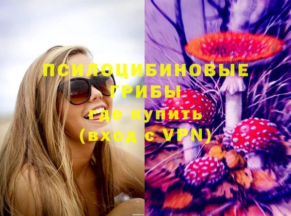 гашишное масло Краснослободск