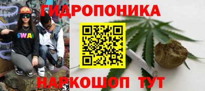 гидра Балашиха