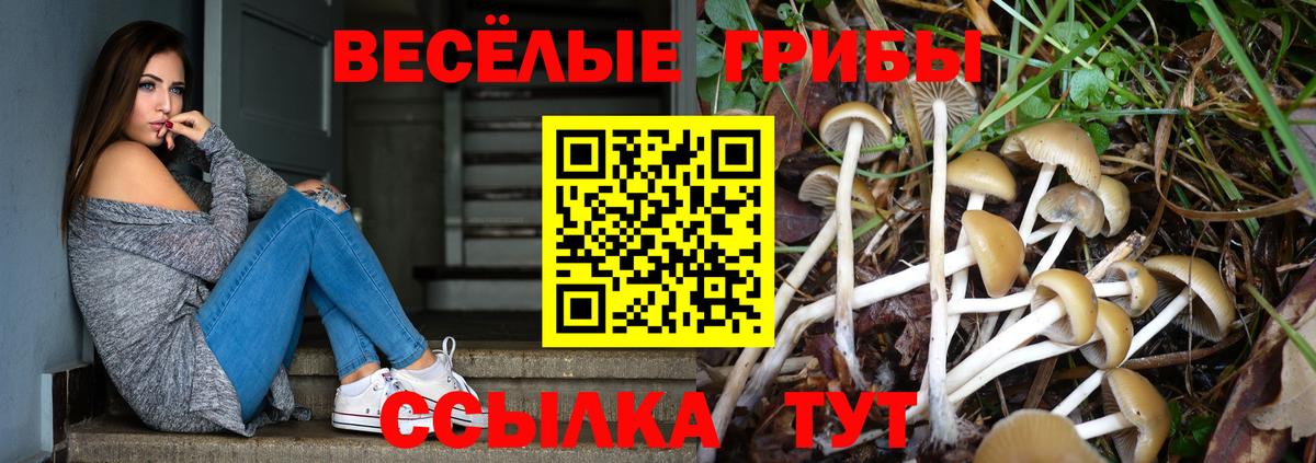 Псилоцибиновые грибы Psilocybe Екатеринбург