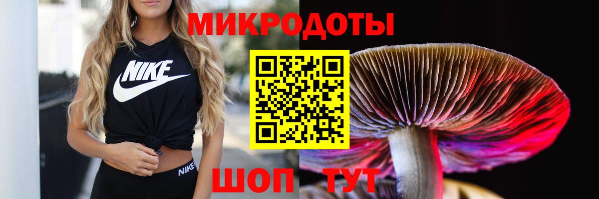 Галлюциногенные грибы Psilocybine cubensis Екатеринбург