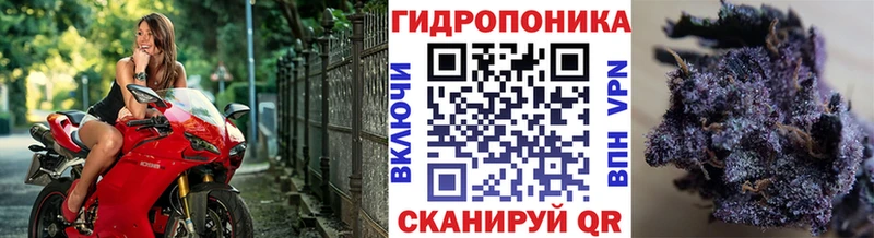 Конопля конопля  цены наркотик  Екатеринбург 